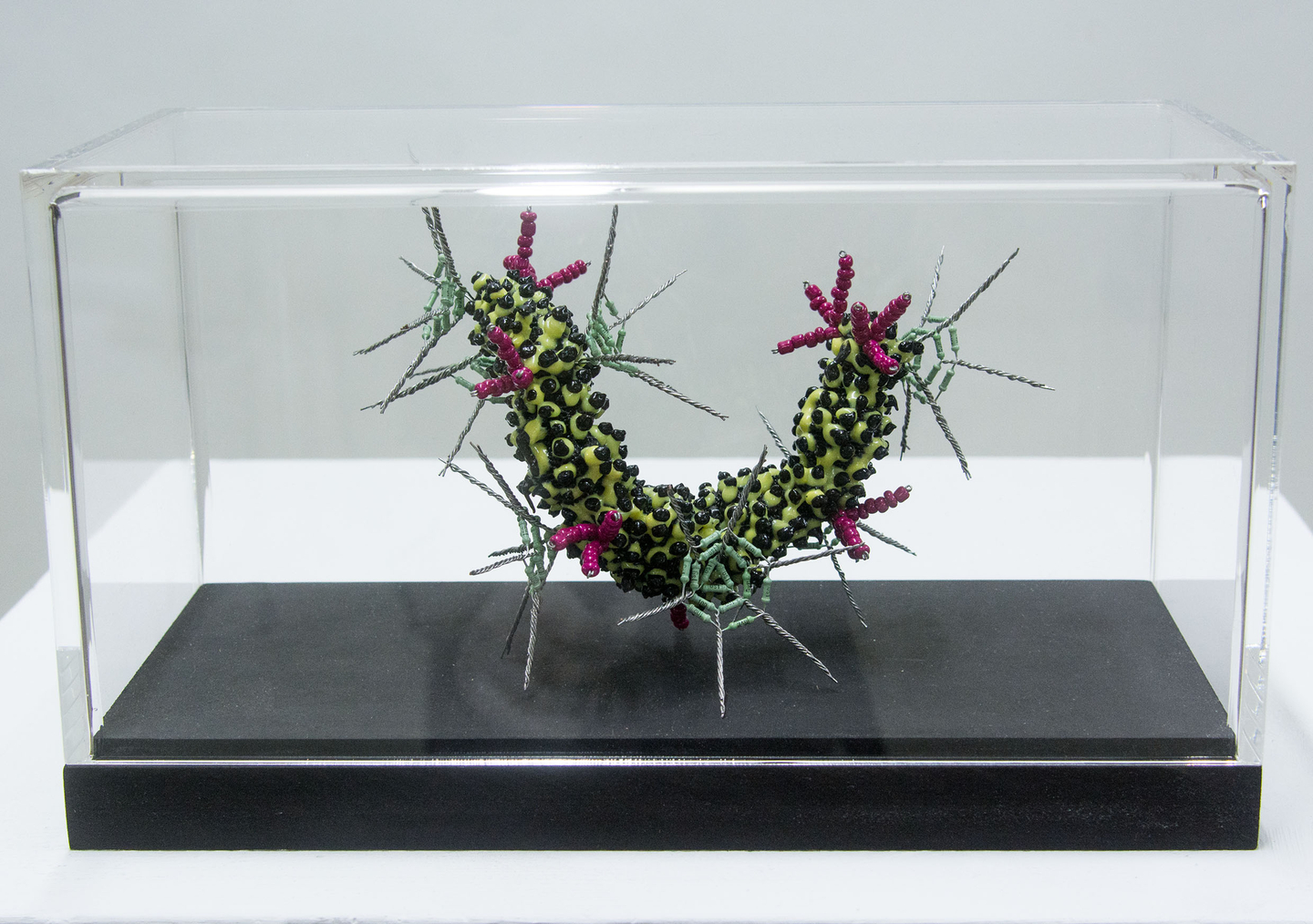 Martina Schreiber "Polyflore Mikrofauna", 2023, Polyester, elektronische Widerstände, Perlen 10 Stück, 1 Stück incl. Vitrine 490 €