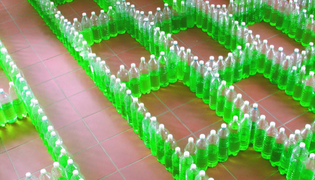 Pflanzung, 2005. Kunststoffflaschen, gefärbtes Wasser